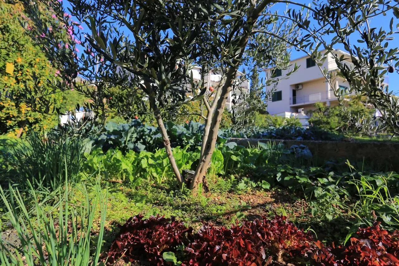 Apartments By The Sea Seget Donji, Trogir - 2029